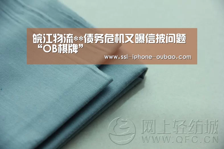 皖江物流**债务危机又曝信披问题“OB棋牌”(图2) 欧宝