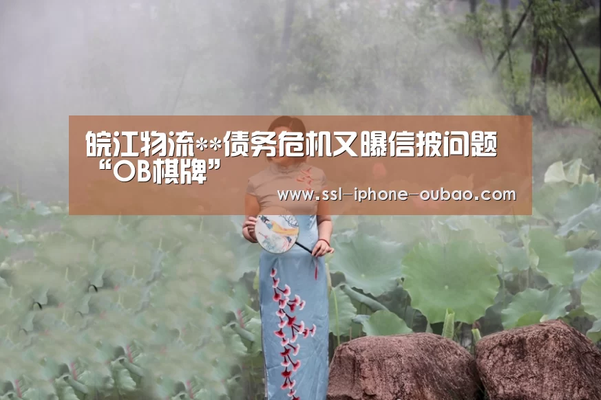 皖江物流**债务危机又曝信披问题“OB棋牌”(图1) 欧宝电竞
