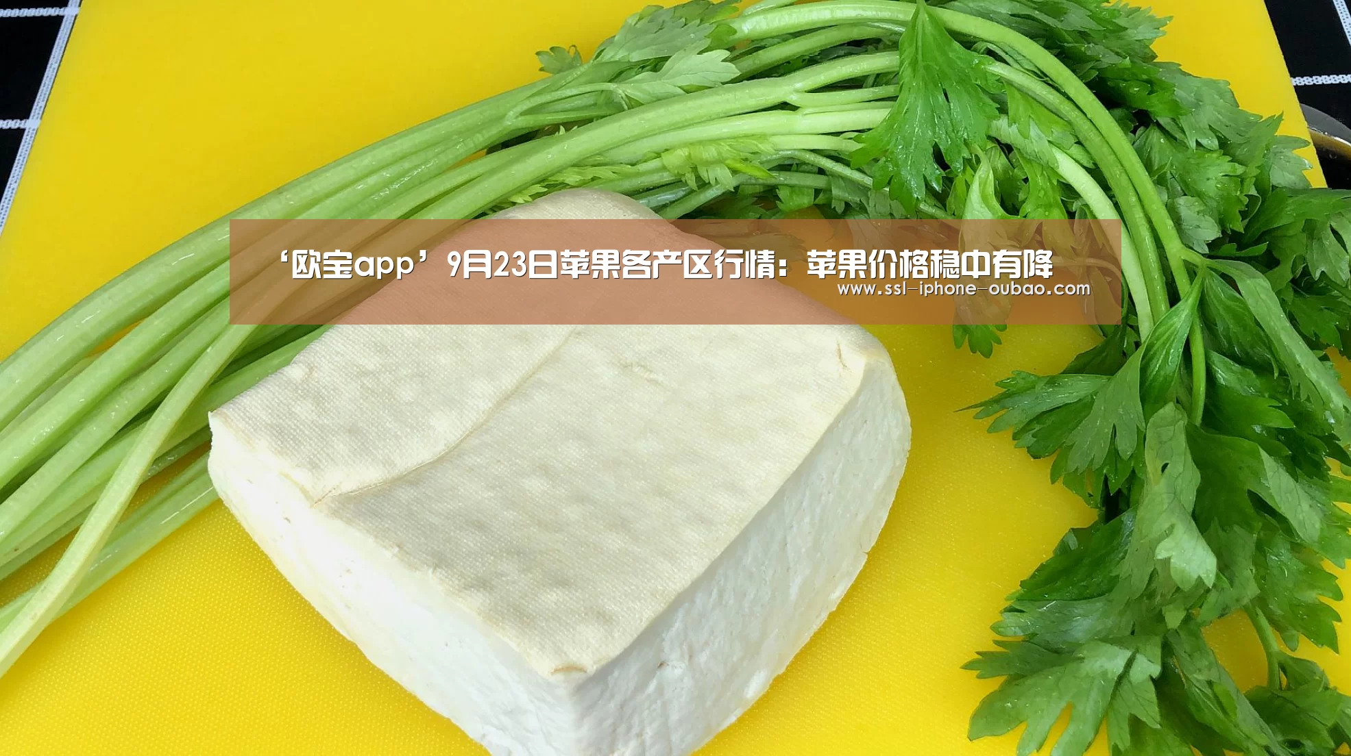 欧宝